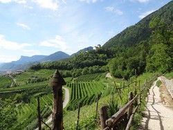 Suedtiroler_WeinAlmenweg_Suedliche Weinstrasse_1.jpg