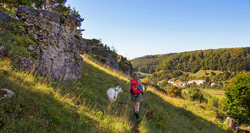 pic_Altmühltal Panoramaweg, Treuchtlingen – Beilngries 7 Tage/ 6 Nächte