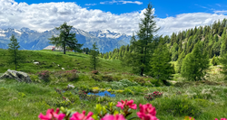 pic_E5: Mini-Transalp für Familien 8 Tage/ 7 Nächte