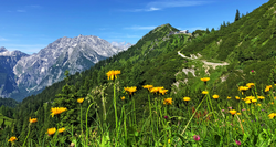 pic_Bayerische & Salzburger Alpen 8 Tage/ 7 Nächte