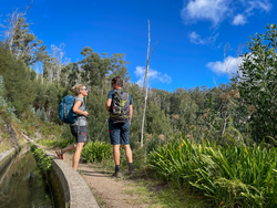 pic_Genusswandern auf Madeira 7 Tage/ 6 Nächte